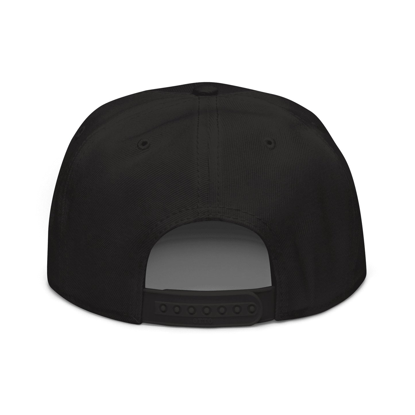 "Delighted" Snapback Hat Sage Graphics